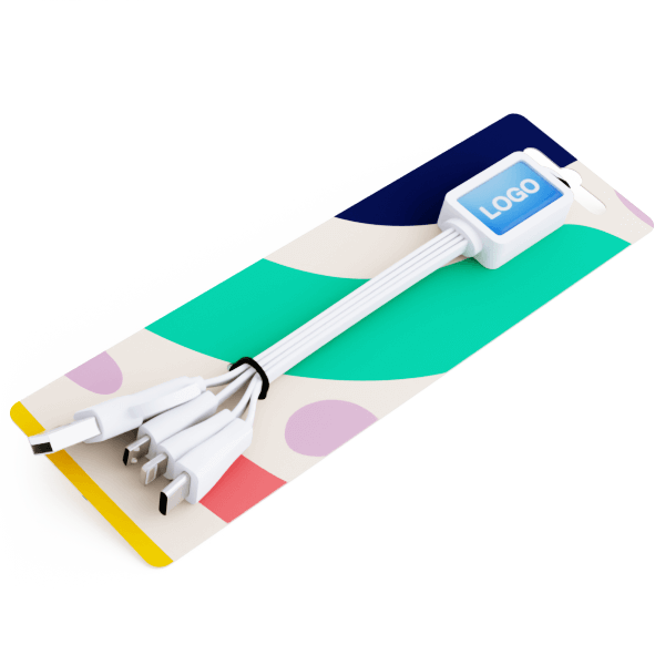 Multi - Câble personnalisé USB Octopus