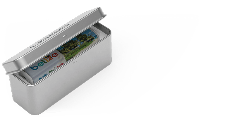 Foto - Batterie Portable Personnalisable Foto - Batterie Portable Personnalisable