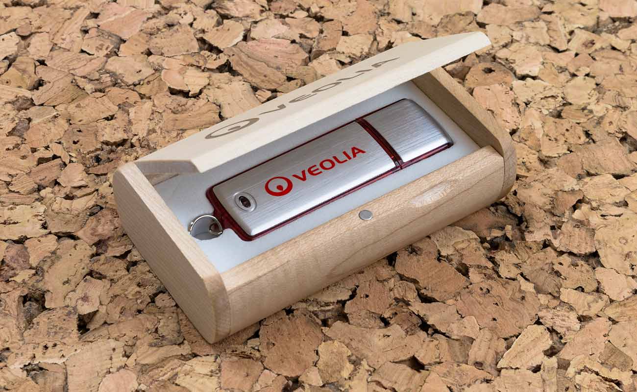 Classic - Logo USB gallery thumbnail