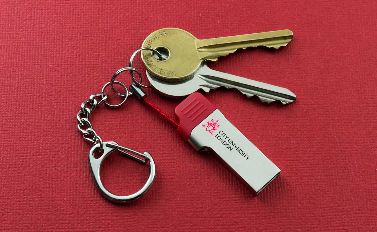 Lynx - Cle USB-C Personnalisable gallery thumbnail